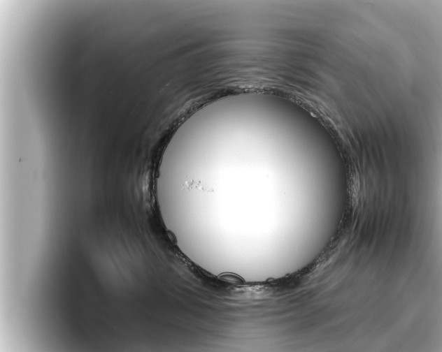 X0000096670428200802051013