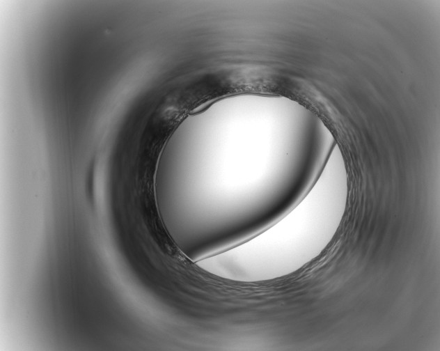 X0000096670429200802051013