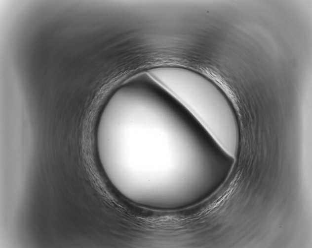 X0000096670433200802051013