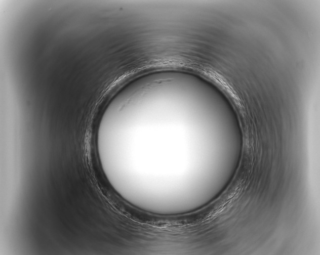X0000096670434200802051013
