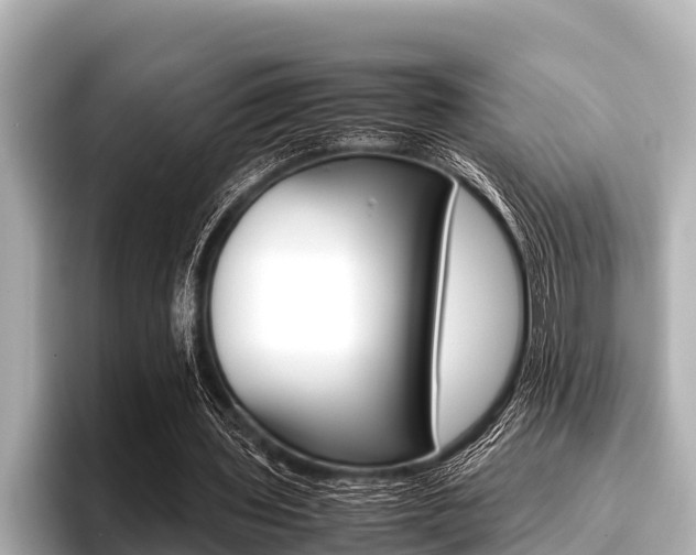 X0000096670435200802051013