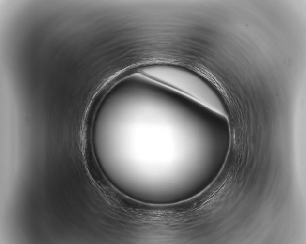 X0000096670436200802051013