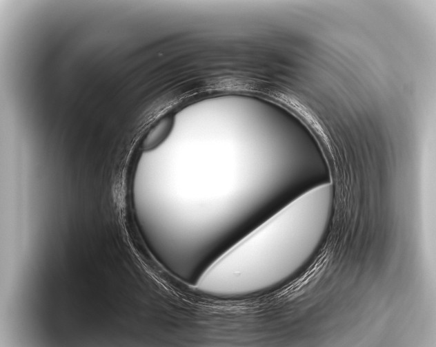 X0000096670437200802051013
