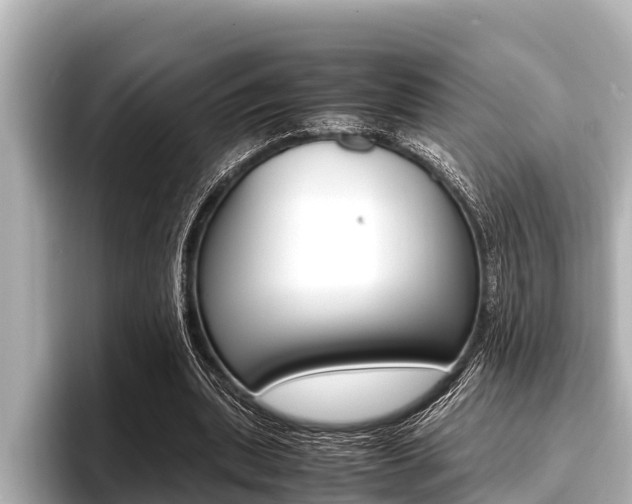 X0000096670439200802051013