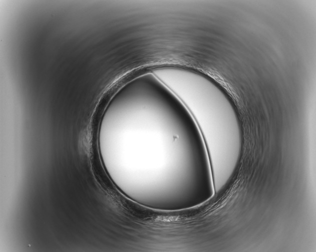 X0000096670440200802051013