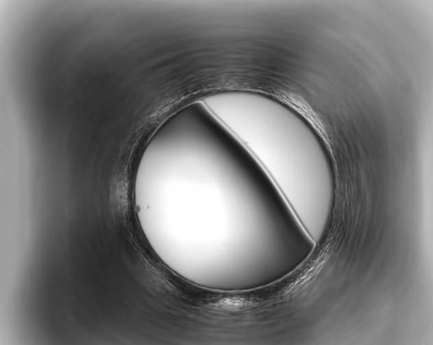 X0000096670441200802051013