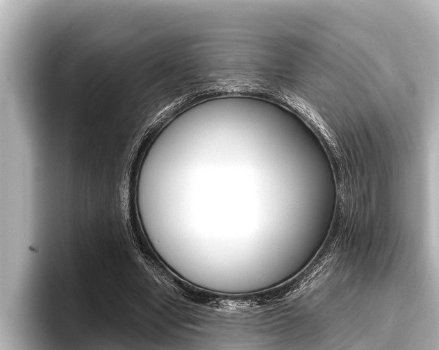 X0000096670442200802051013