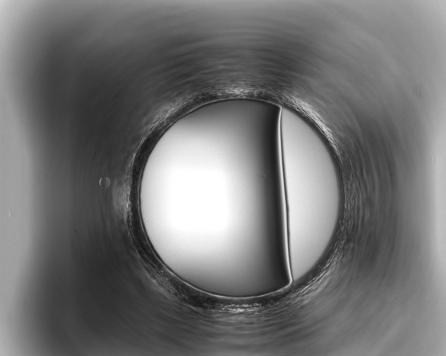 X0000096670443200802051013