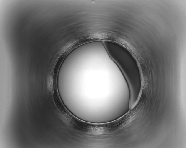 X0000096670444200802051013