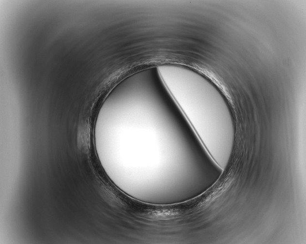 X0000096670445200802051013