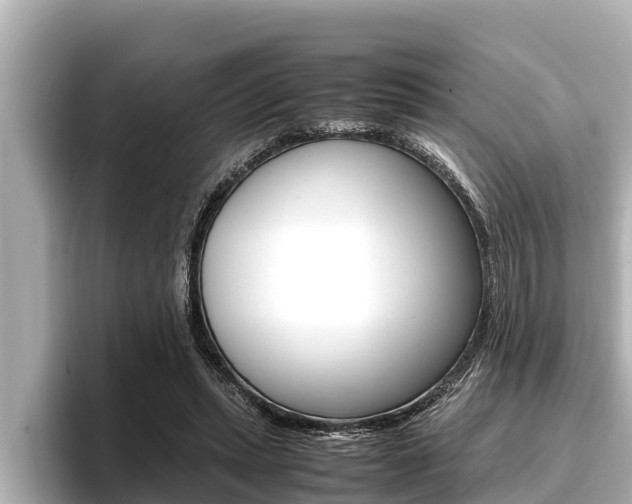 X0000096670447200802051013
