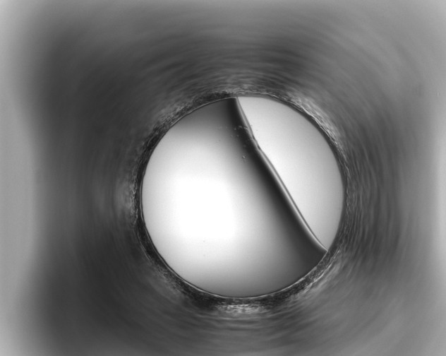 X0000096670449200802051013