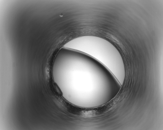 X0000096670452200802051013