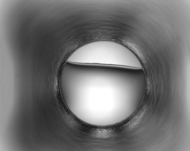 X0000096670453200802051013