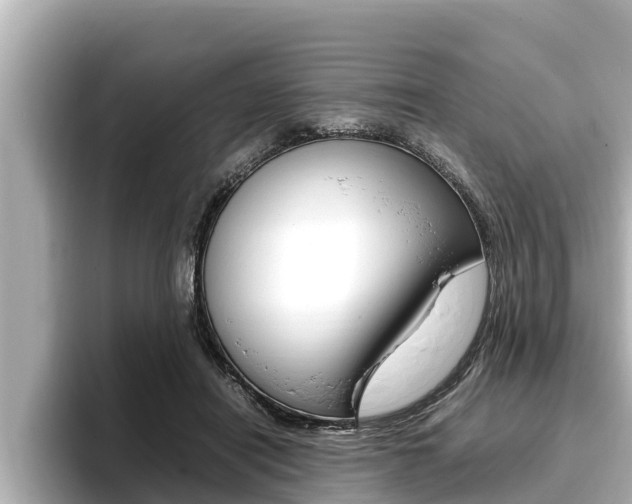 X0000096670454200802051013