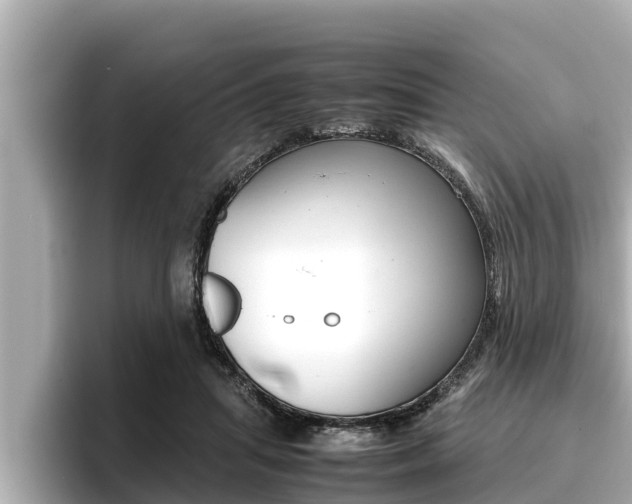 X0000096670455200802051013
