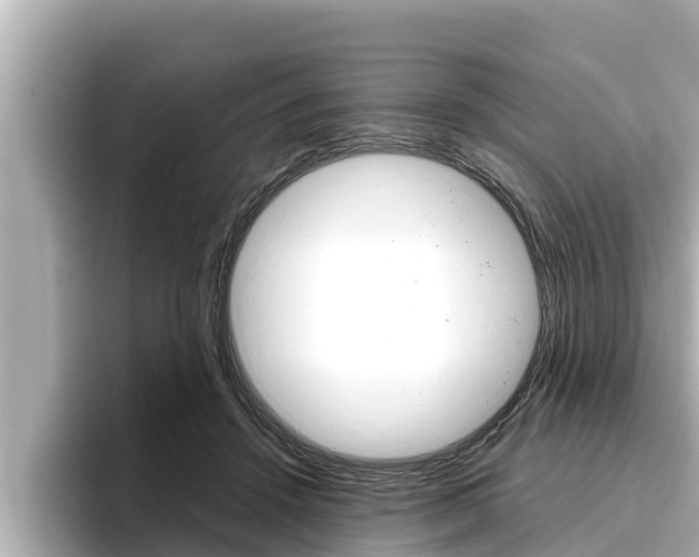 X0000096670456200802051013