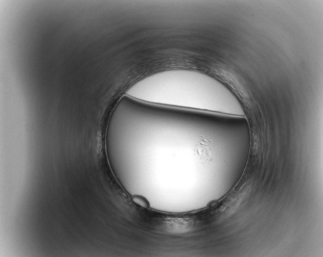 X0000096670457200802051013