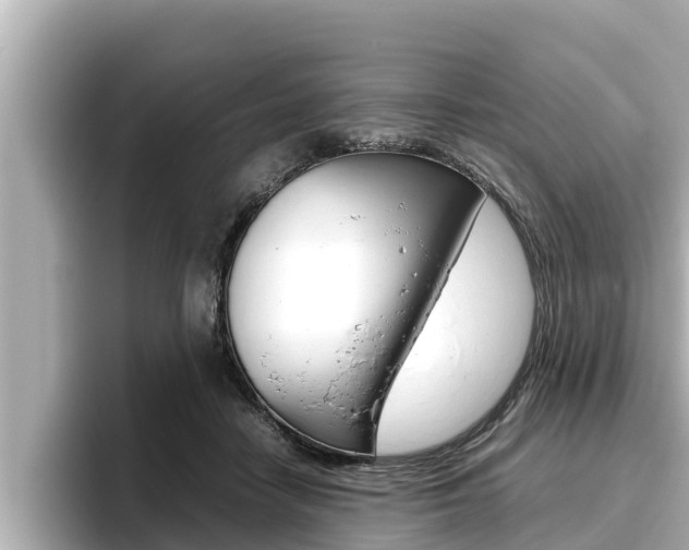 X0000096670458200802051013