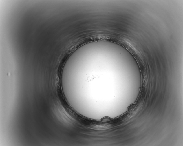 X0000096670459200802051013