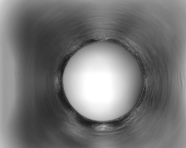 X0000096670460200802051013