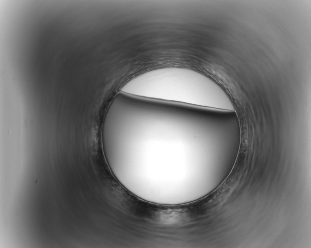 X0000096670461200802051013