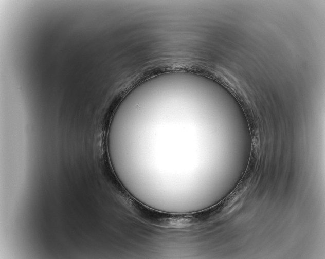 X0000096670462200802051013