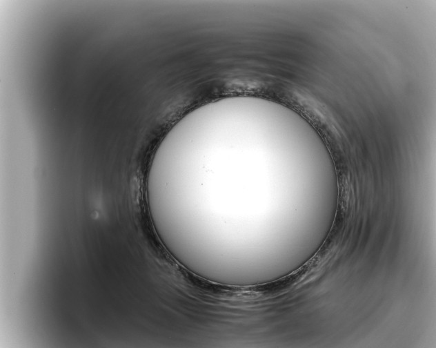 X0000096670463200802051013