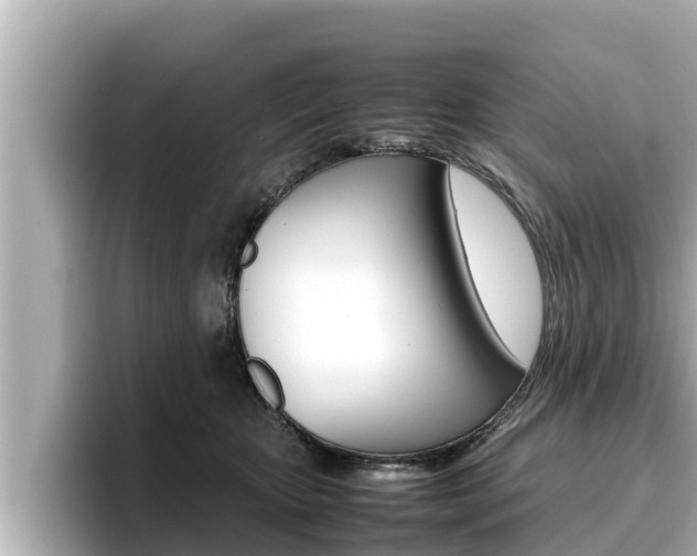X0000096670467200802051013