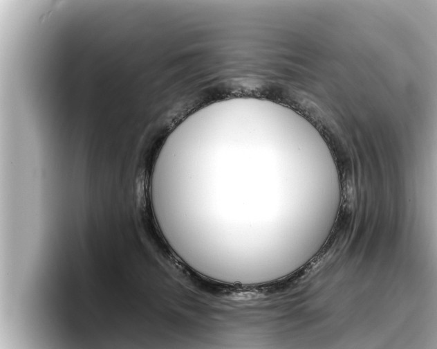 X0000096670468200802051013
