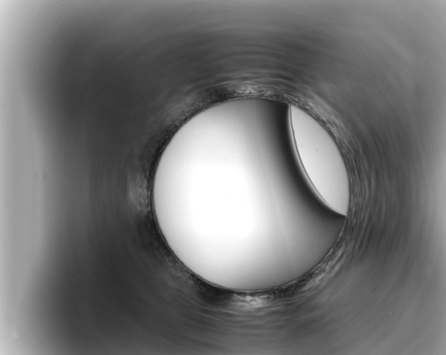 X0000096670469200802051013