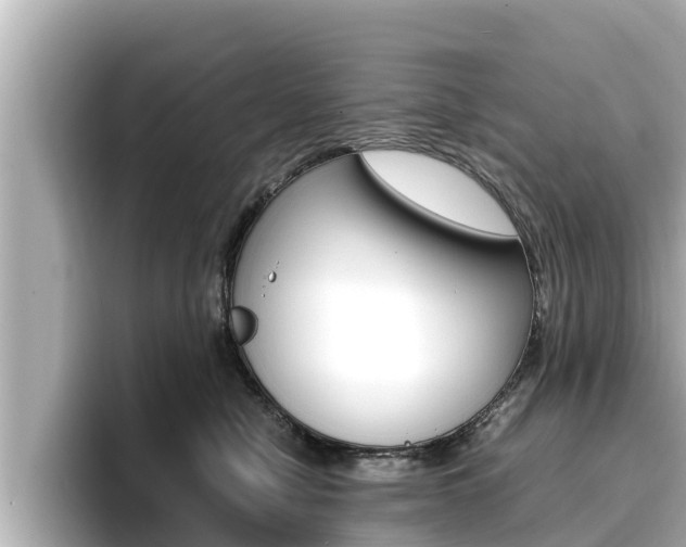 X0000096670470200802051013