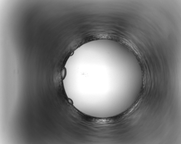 X0000096670473200802051013