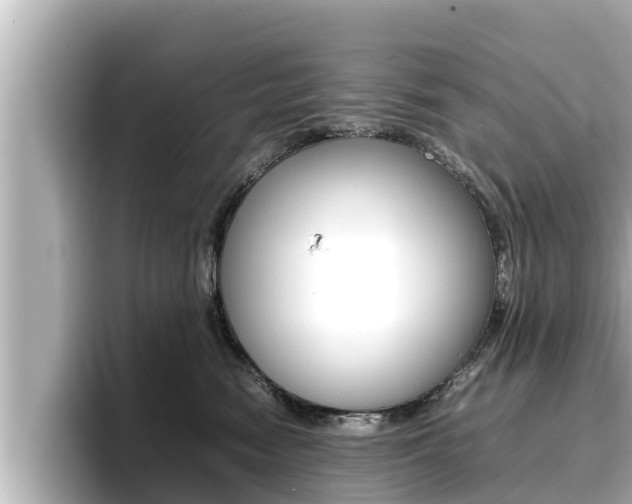 X0000096670474200802051013
