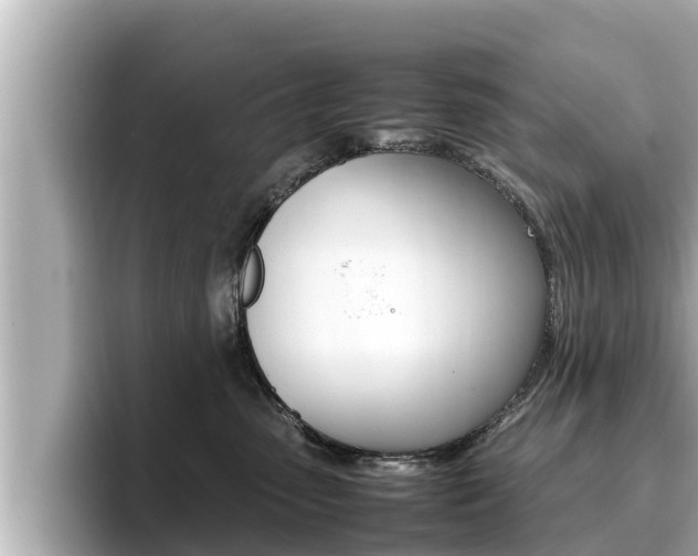 X0000096670475200802051013
