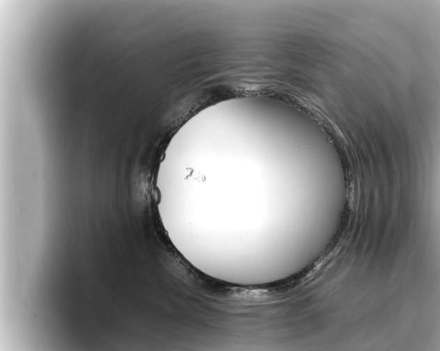 X0000096670476200802051013