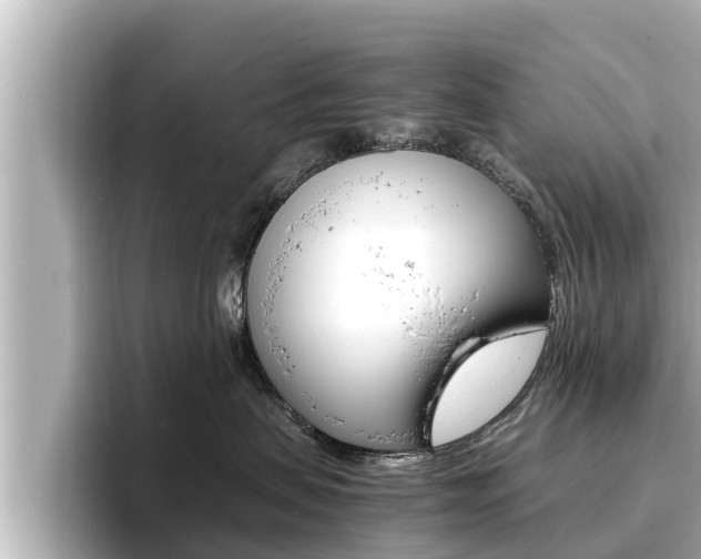 X0000096670479200802051013