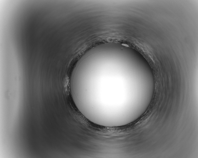 X0000096670480200802051013