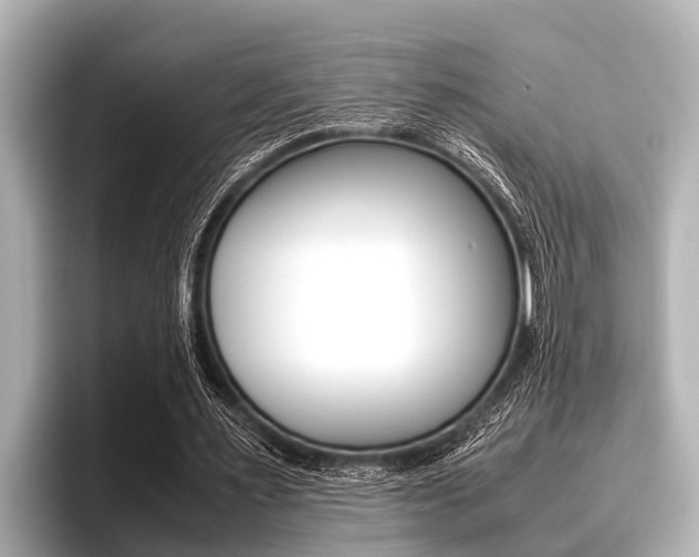 X0000096670483200802051013