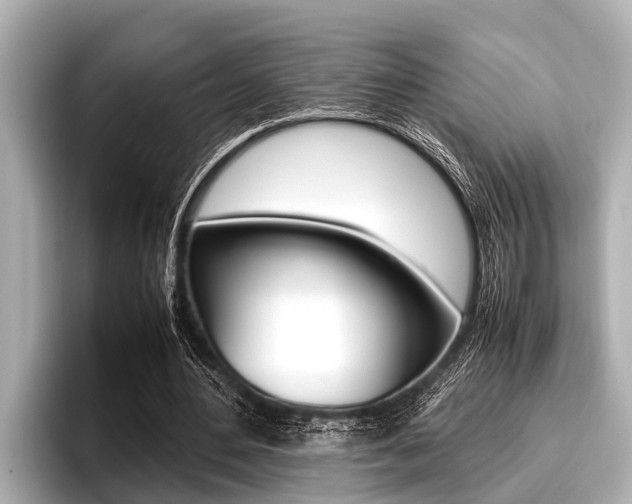 X0000096670484200802051013