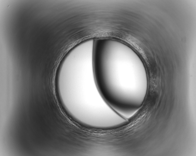 X0000096670485200802051013