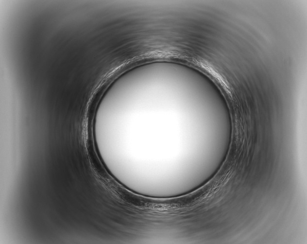 X0000096670486200802051013