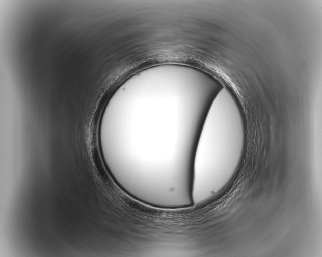 X0000096670487200802051013