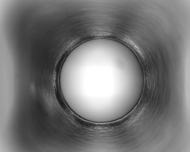 X0000096670490200802051013