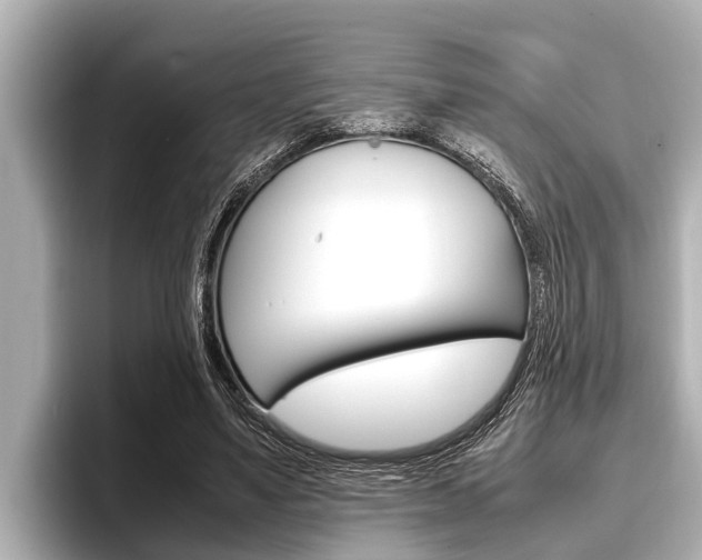 X0000096670491200802051013