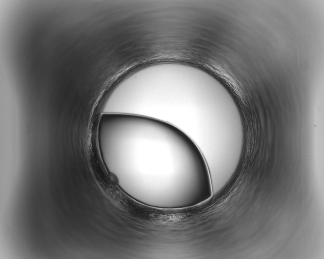 X0000096670492200802051013
