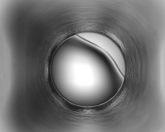 X0000096670493200802051013