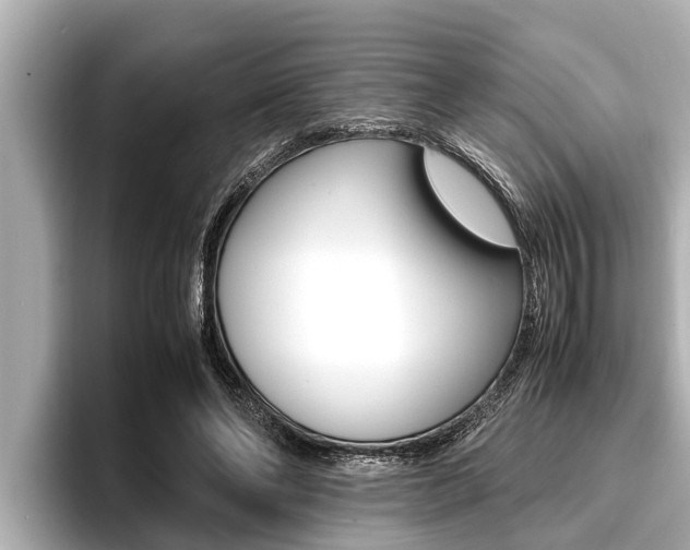 X0000096670494200802051013
