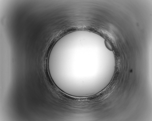 X0000096670495200802051013