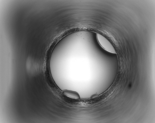 X0000096670496200802051013